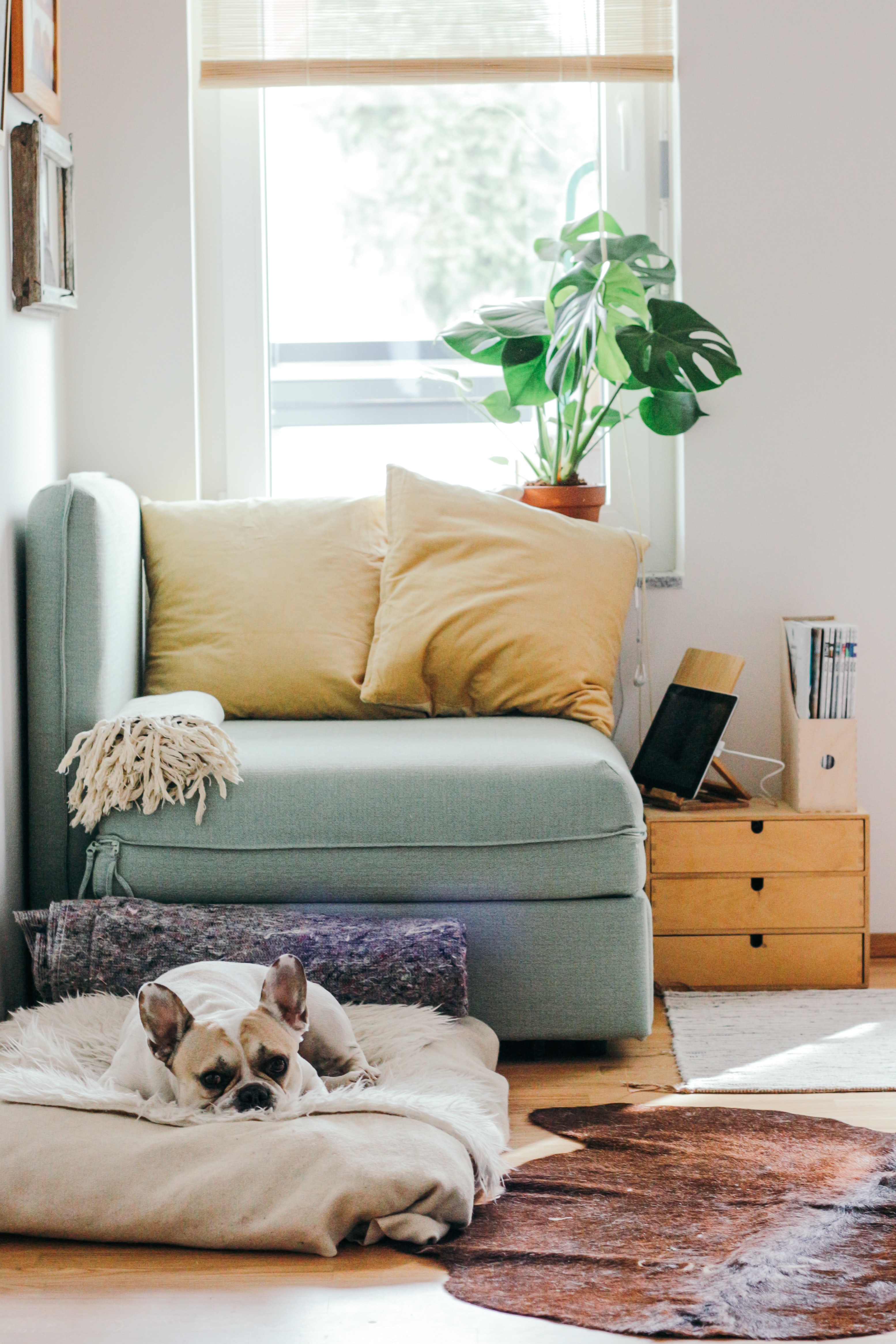 home automation home automation